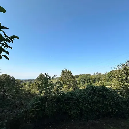 Lägenhet Zentrale Lage Zu Koeln Mitten In Der Natur!