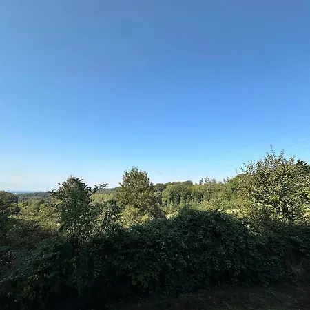 Appartamento Zentrale Lage Zu Koeln Mitten In Der Natur! *