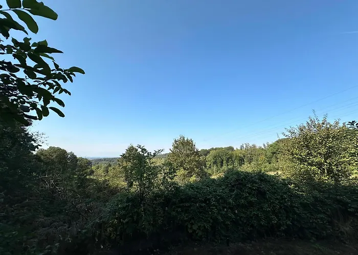 公寓 Zentrale Lage Zu Koeln Mitten In Der Natur!